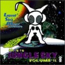 Sampler - This Is Jungle Sky 2 [US-Import]