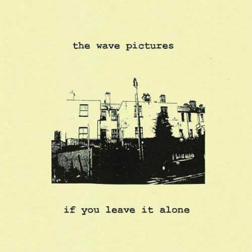 Wave Pictures , The - If You Leave It Alone
