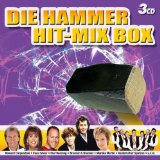 Sampler - Der Hammer Hit-Mix 2008