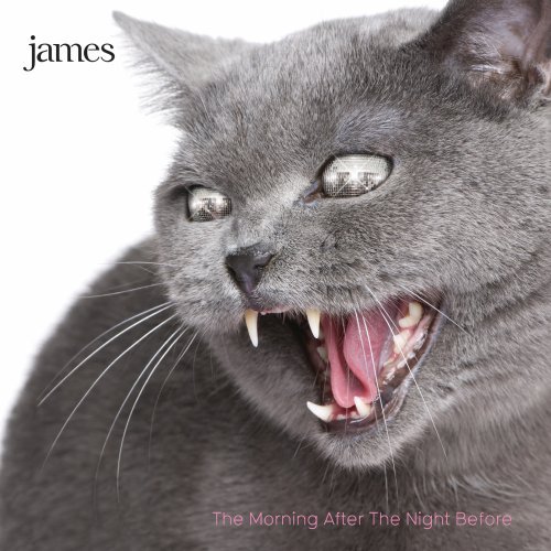 James - Morning After the Night Before