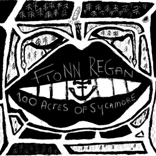 Fionn Regan - 100 Acres of Sycamore