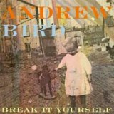 Bird , Andrew - Weather Systems