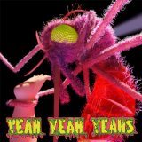 Yeah Yeah Yeahs - Show your bones