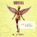 Nirvana - Incesticide