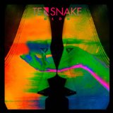 Terje , Todd - It's Album Time