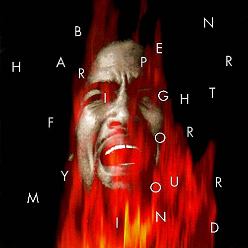 Ben Harper - Fight for Your Mind [Vinyl LP]