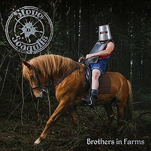 Steve 'N' Seagulls - Brothers in Farms