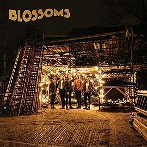 Blossoms - Blossoms