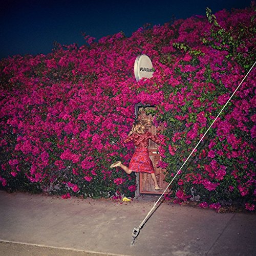 Feist - Pleasure (Digi)