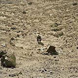 Ben Howard - Every Kingdom [Vinyl LP]