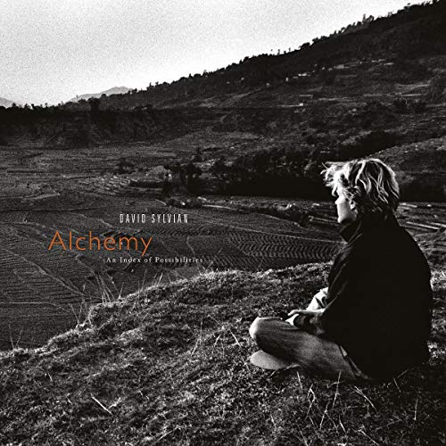 David Sylvian - Alchemy: An Index of Possibilities (Remastered Lp) [Vinyl LP]