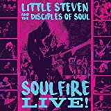 Featuring the Disciples of Soul Little Steven - Summer of Sorcery