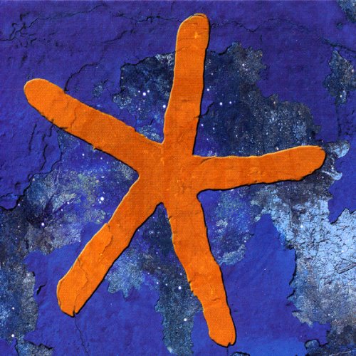 Fish - 13th Star