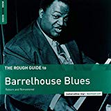 Skip James - Rough Guide: Skip James [Vinyl LP]