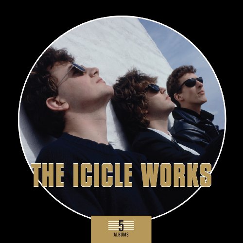 the Icicle Works - 5 Albums Box Set