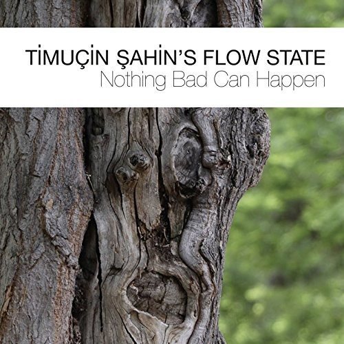 Timucin Sahin's Flow State - Nothing Bad Can Happen