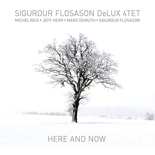 Sigurdur Flosason Delux 4tet - Here and Now