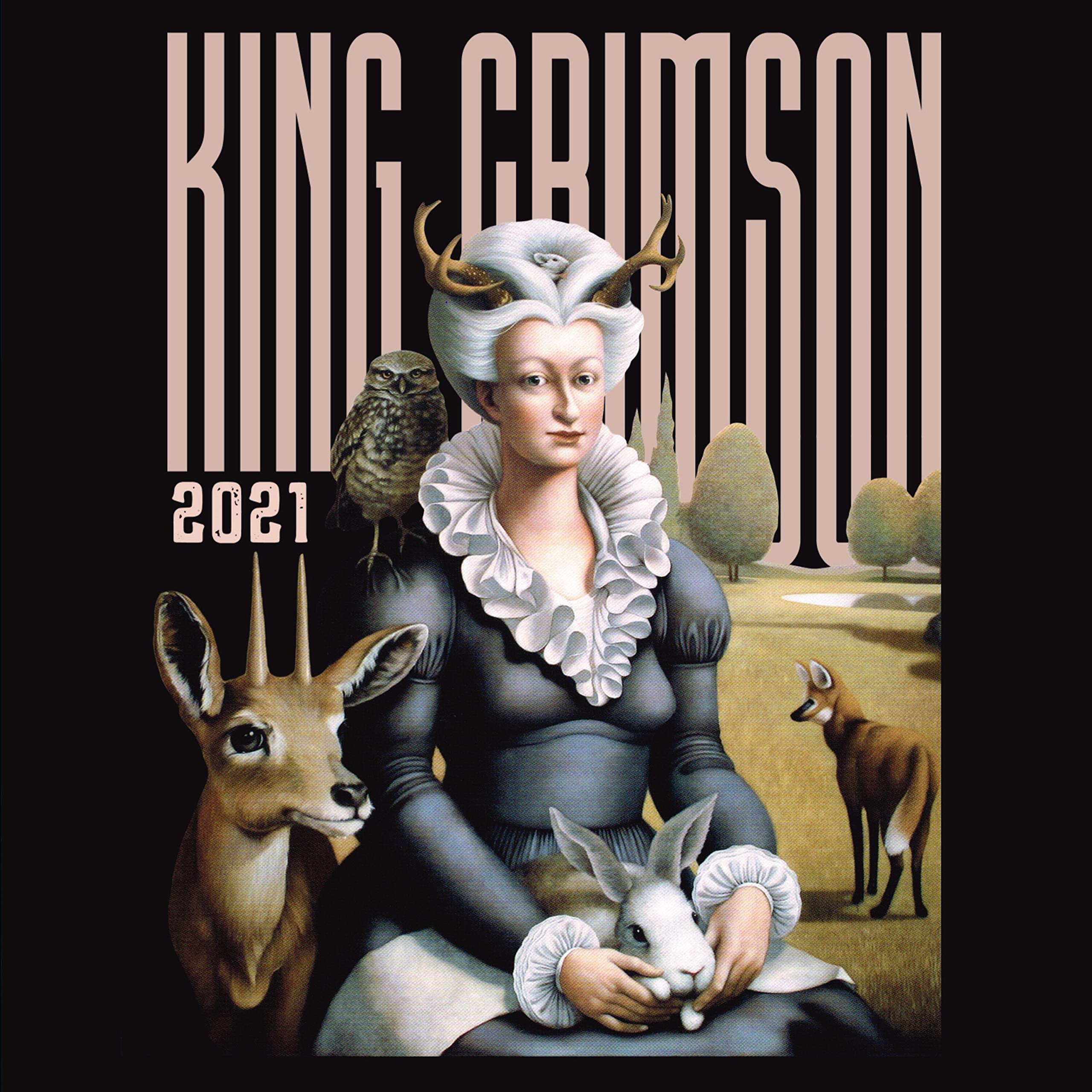 King Crimson - Music Is Our Friend - Live in Washington and Albany, 2021