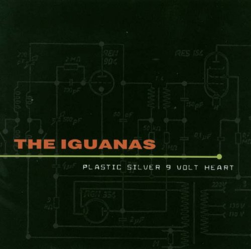 Iguanas - Plastic silver 9 volt heart