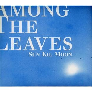Sun Kil Moon - Among the Leaves