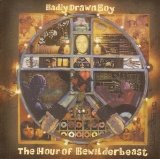 Badly Drawn Boy - Have you fed the fish