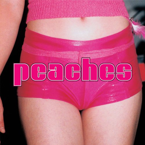 Peaches - The Teaches of Peaches [Vinyl LP]