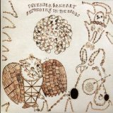 Banhart , Devendra - What Will We Be