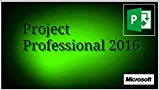  - Visio Professional 2016