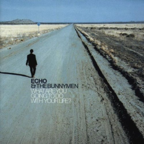 Echo & The Bunnymen - What are you going to do with your life