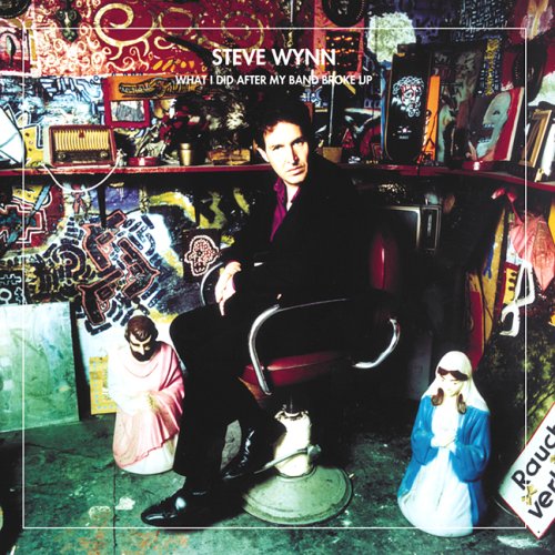 Steve Wynn - What I Did After My Band Broke