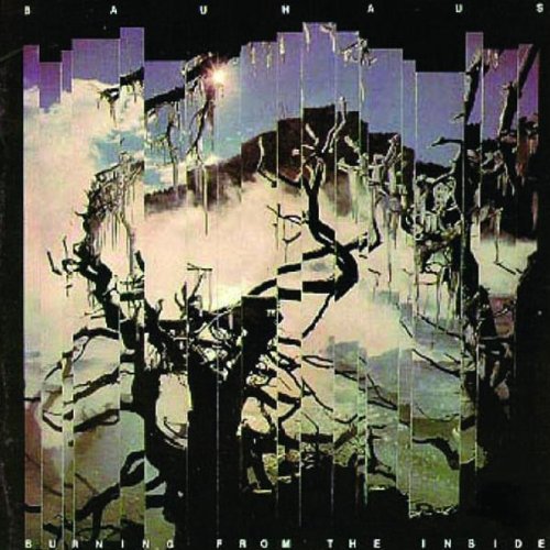 Bauhaus - Burning from the Inside [Vinyl LP]