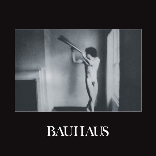 Bauhaus - In the Flat Field [Vinyl LP]