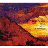 Tindersticks - The hungry saw
