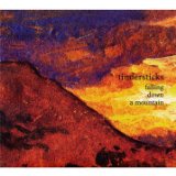 Tindersticks - The Hungry Saw [Vinyl LP]