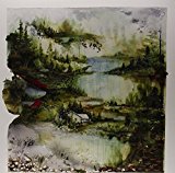 Bon Iver - For Emma,Forever Ago [Vinyl LP]