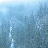 Wolves in the Throne Room - Two Hunters