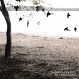 Tallest Man On Earth , The - Dark Bird Is Home