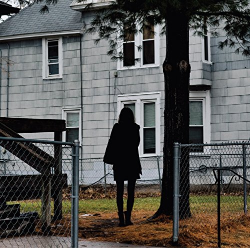 Tallest Man On Earth , The - Dark Bird Is Home