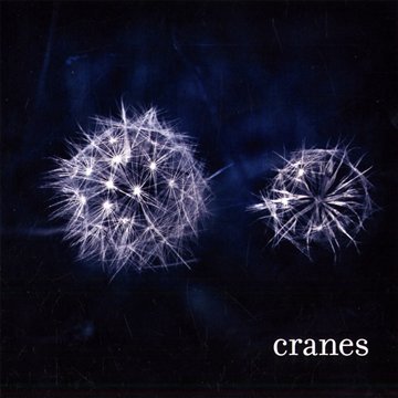 Cranes - o.Titel