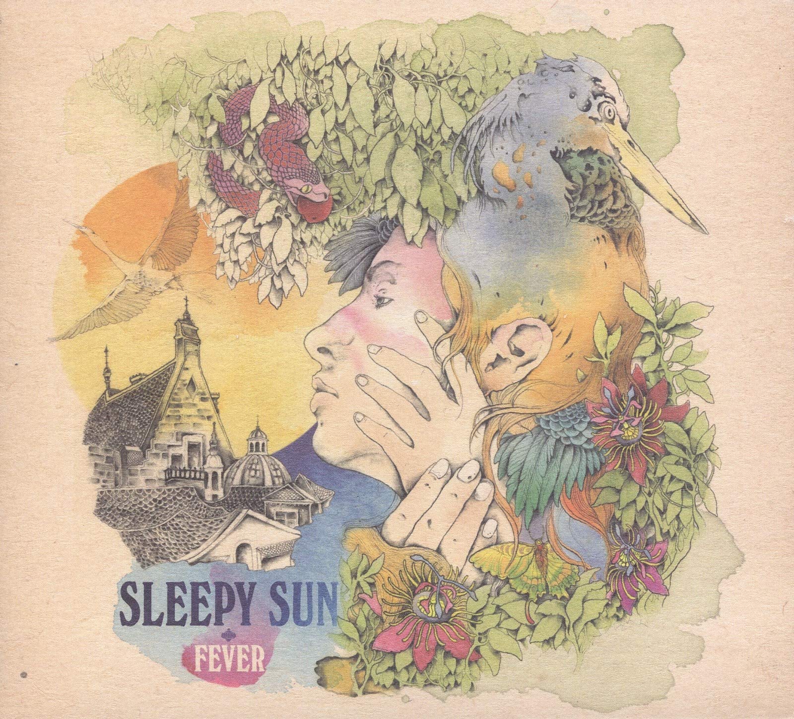 Sleepy Sun - Fever