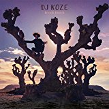 DJ Koze - Music is okay