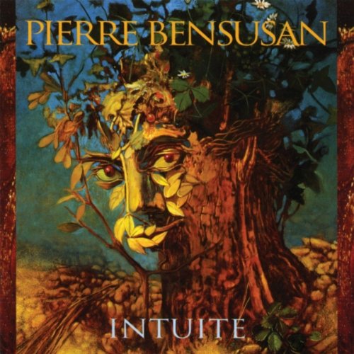 Pierre Bensusan - Intuite
