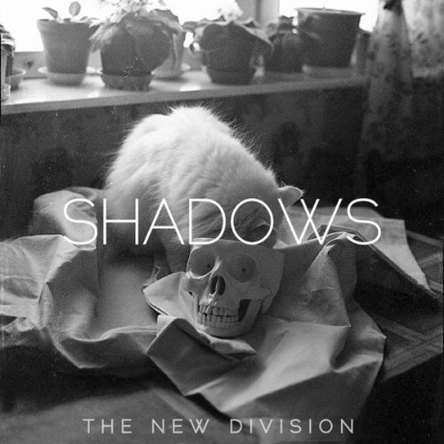 the New Division - Shadows