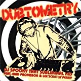 DJ Spooky - Riddim warfare