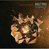 Melt Trio (Meyer/Baumgärtner/Meyer) - Stroy