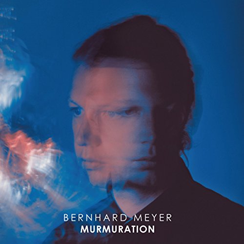 Bernhard Meyer - Murmuration