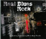 Popa Chubby - New York City Blues 2