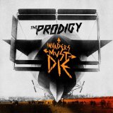The Prodigy - Experience [Vinyl LP]