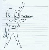 Tortoise - Standards