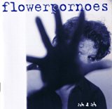 Flower Pornoes - Wie oft musst du vor die wand laufen...